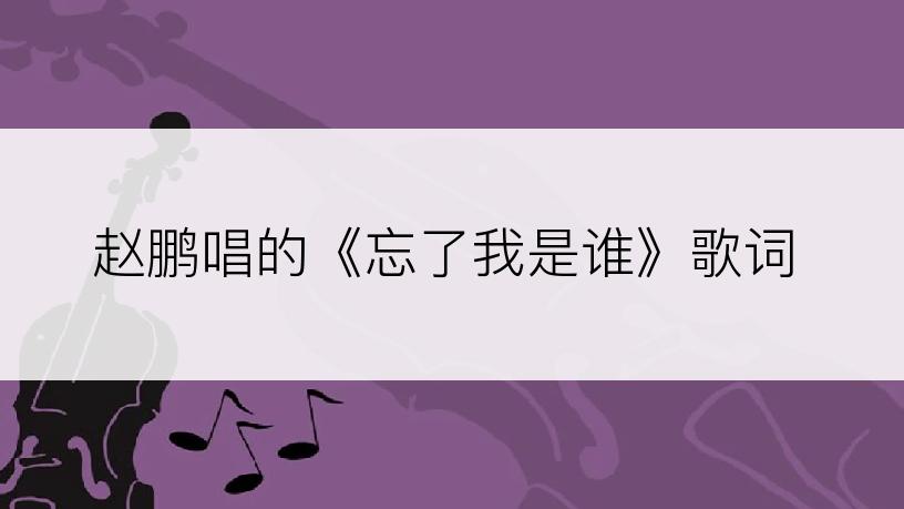 赵鹏唱的《忘了我是谁》歌词