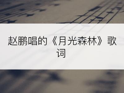 赵鹏唱的《月光森林》歌词