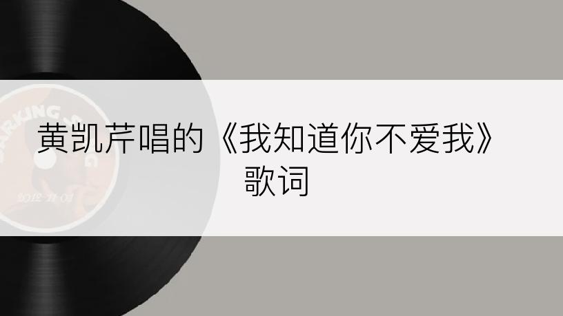 黄凯芹唱的《我知道你不爱我》歌词