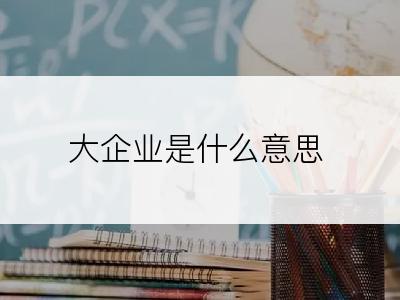 大企业是什么意思