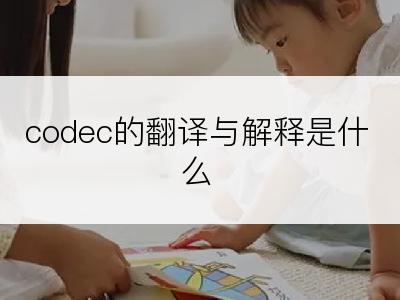 codec的翻译与解释是什么