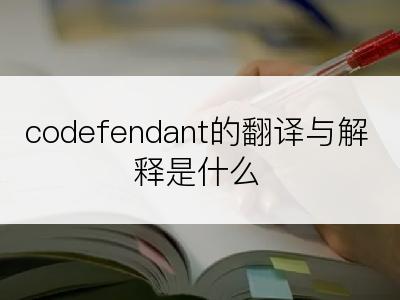 codefendant的翻译与解释是什么