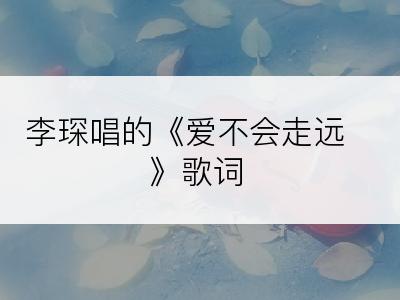 李琛唱的《爱不会走远》歌词