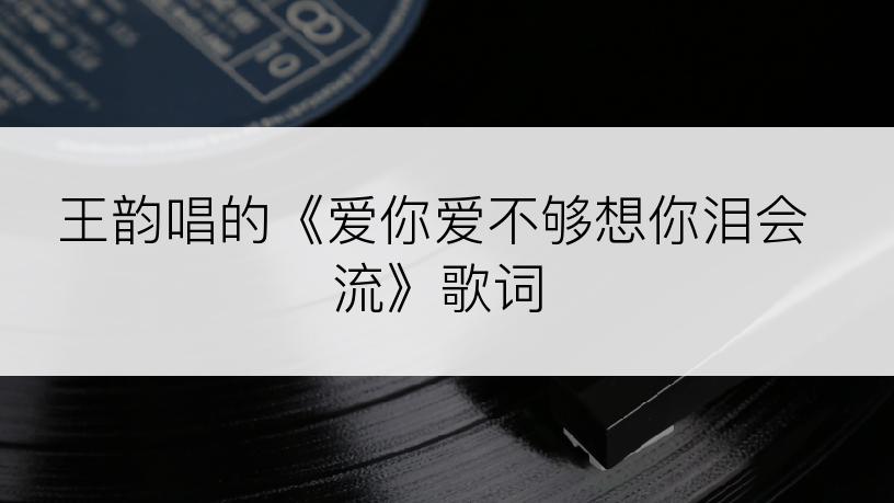 王韵唱的《爱你爱不够想你泪会流》歌词