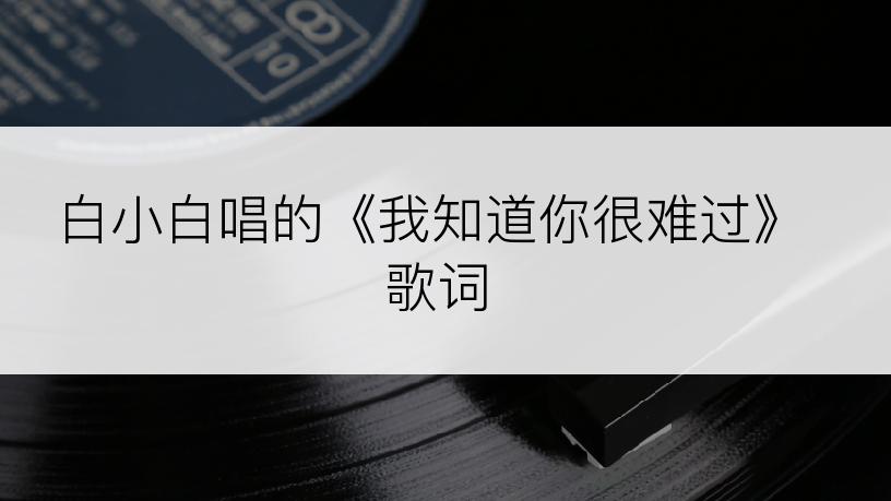 白小白唱的《我知道你很难过》歌词