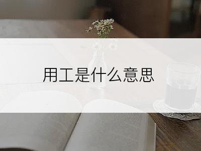 用工是什么意思