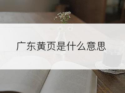 广东黄页是什么意思