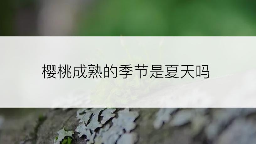 樱桃成熟的季节是夏天吗