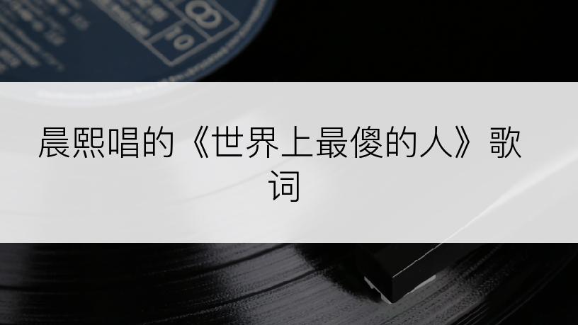 晨熙唱的《世界上最傻的人》歌词