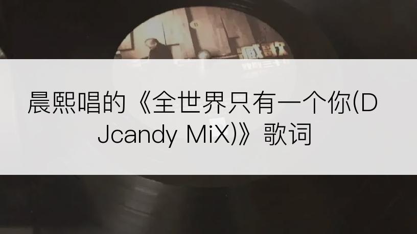 晨熙唱的《全世界只有一个你(DJcandy MiX)》歌词