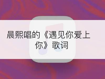 晨熙唱的《遇见你爱上你》歌词