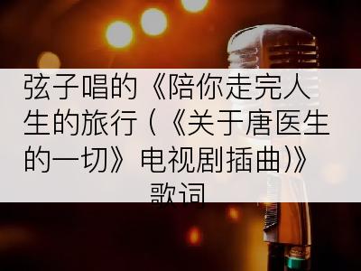 弦子唱的《陪你走完人生的旅行 (《关于唐医生的一切》电视剧插曲)》歌词