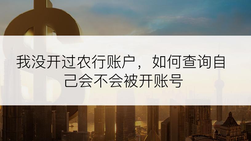 我没开过农行账户，如何查询自己会不会被开账号