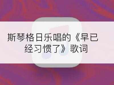 斯琴格日乐唱的《早已经习惯了》歌词