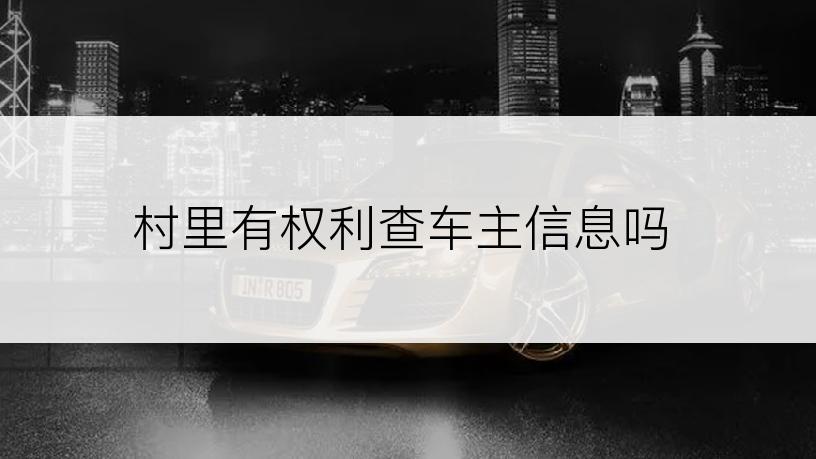 村里有权利查车主信息吗