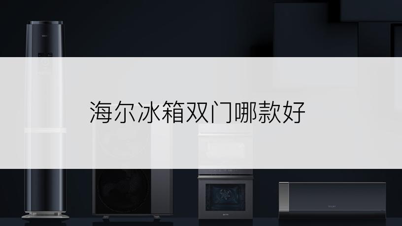 海尔冰箱双门哪款好