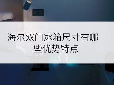 海尔双门冰箱尺寸有哪些优势特点