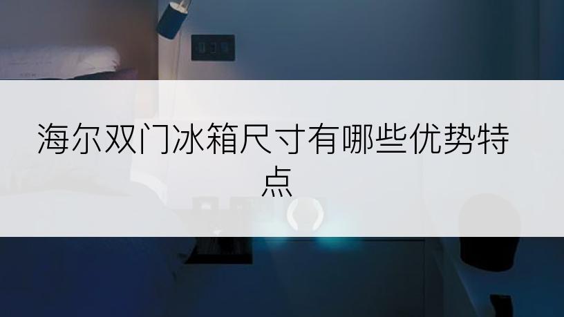 海尔双门冰箱尺寸有哪些优势特点