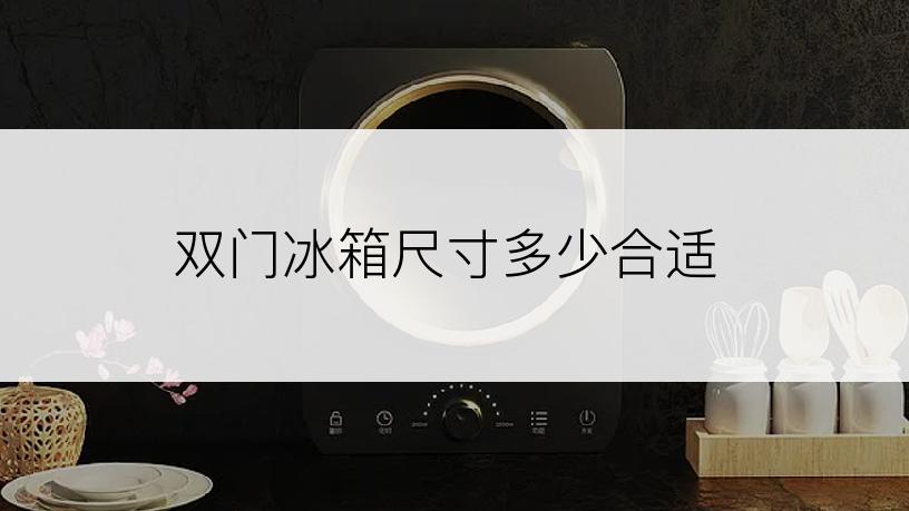 双门冰箱尺寸多少合适