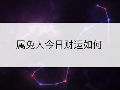 属兔人今日财运如何