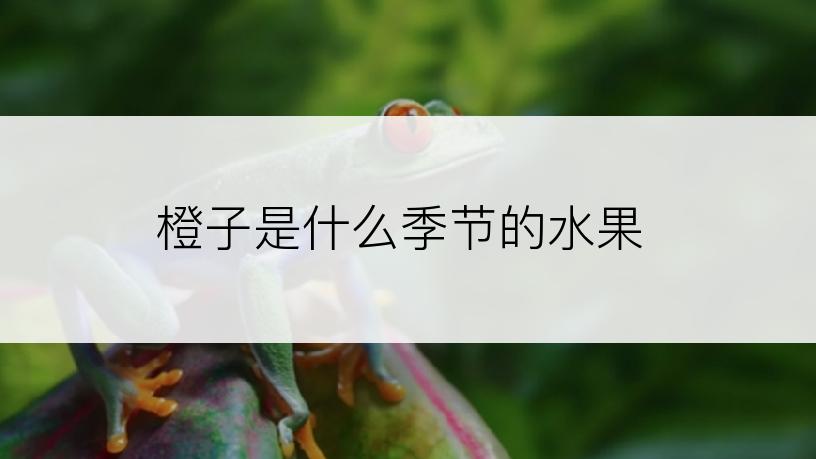 橙子是什么季节的水果