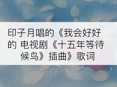 印子月唱的《我会好好的 电视剧《十五年等待候鸟》插曲》歌词