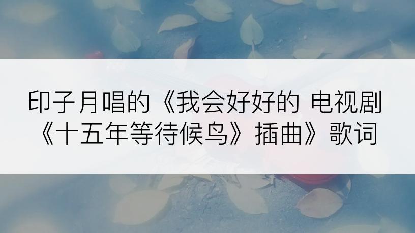 印子月唱的《我会好好的 电视剧《十五年等待候鸟》插曲》歌词