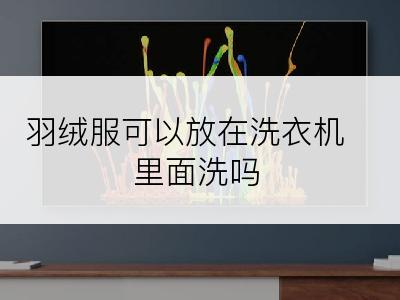 羽绒服可以放在洗衣机里面洗吗