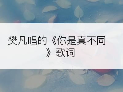 樊凡唱的《你是真不同》歌词