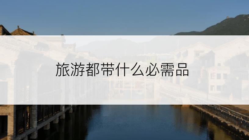 旅游都带什么必需品