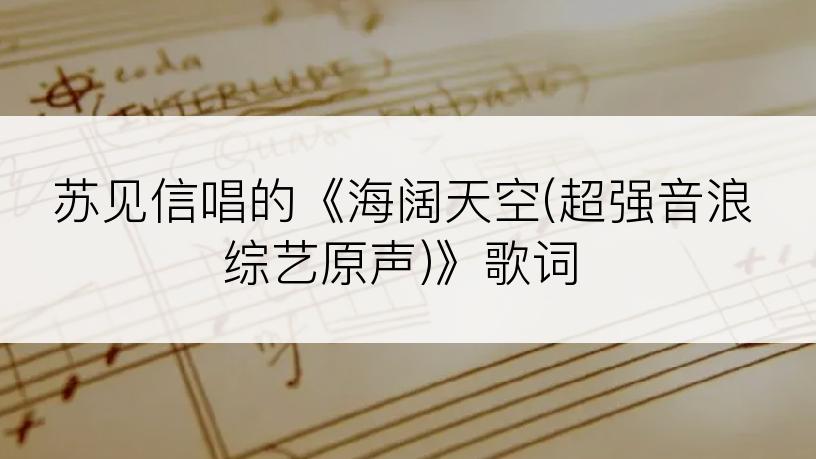 苏见信唱的《海阔天空(超强音浪综艺原声)》歌词