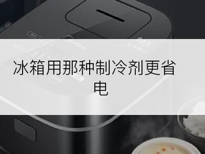 冰箱用那种制冷剂更省电