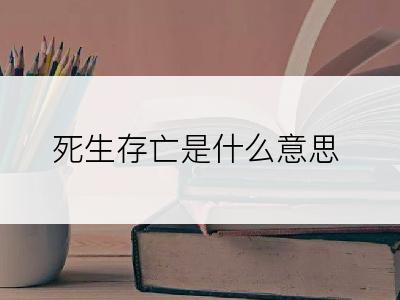 死生存亡是什么意思