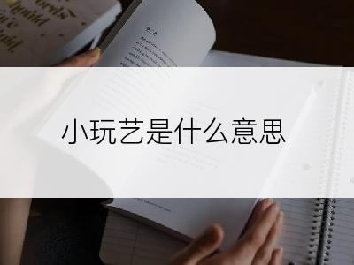 小玩艺是什么意思