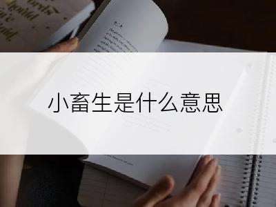 小畜生是什么意思