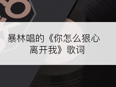 暴林唱的《你怎么狠心离开我》歌词