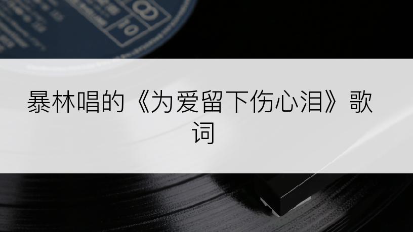 暴林唱的《为爱留下伤心泪》歌词