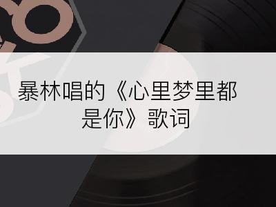 暴林唱的《心里梦里都是你》歌词