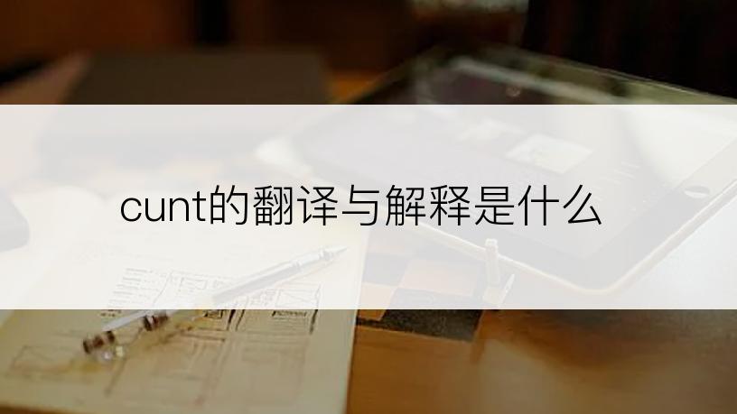 cunt的翻译与解释是什么