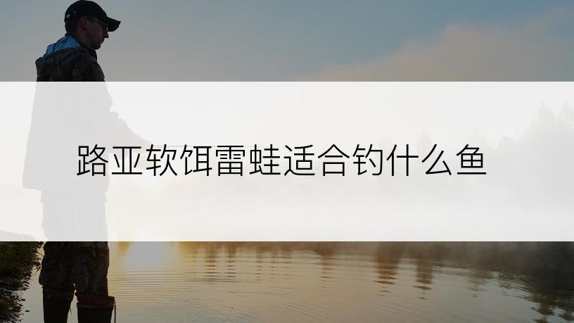 路亚软饵雷蛙适合钓什么鱼