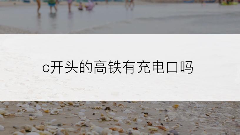 c开头的高铁有充电口吗