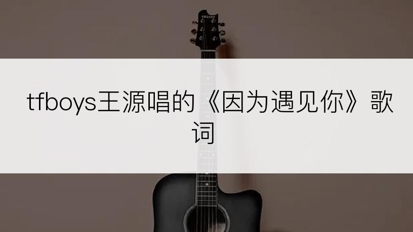 tfboys王源唱的《因为遇见你》歌词