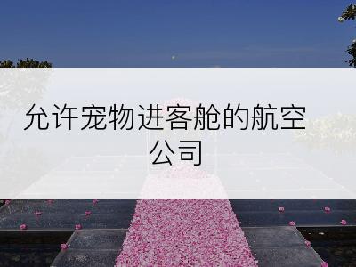 允许宠物进客舱的航空公司