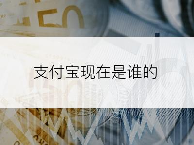 支付宝现在是谁的