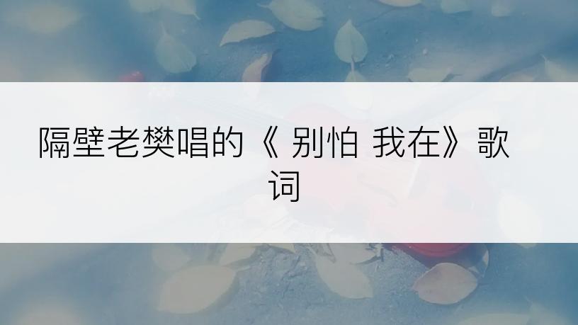 隔壁老樊唱的《 别怕 我在》歌词