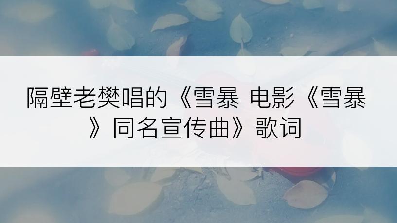 隔壁老樊唱的《雪暴 电影《雪暴》同名宣传曲》歌词