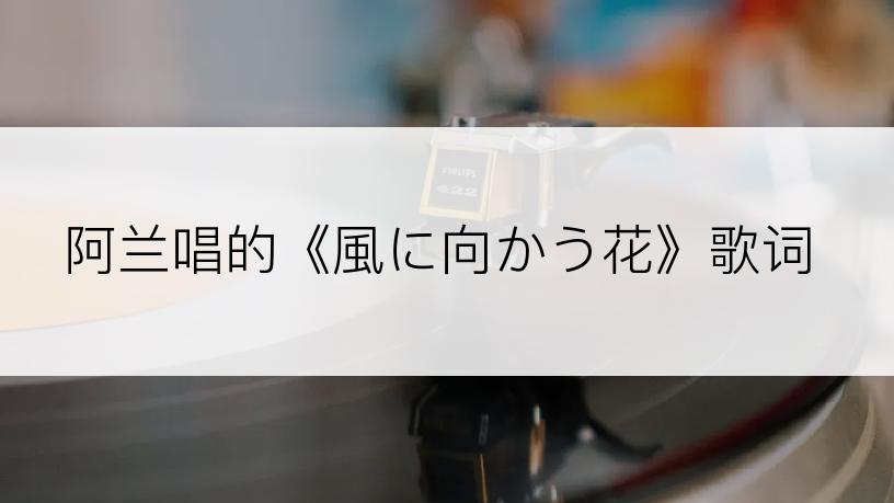 阿兰唱的《風に向かう花》歌词