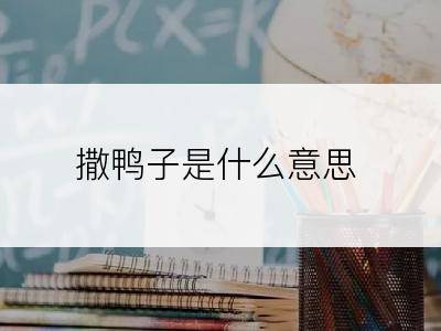 撒鸭子是什么意思