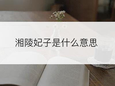 湘陵妃子是什么意思