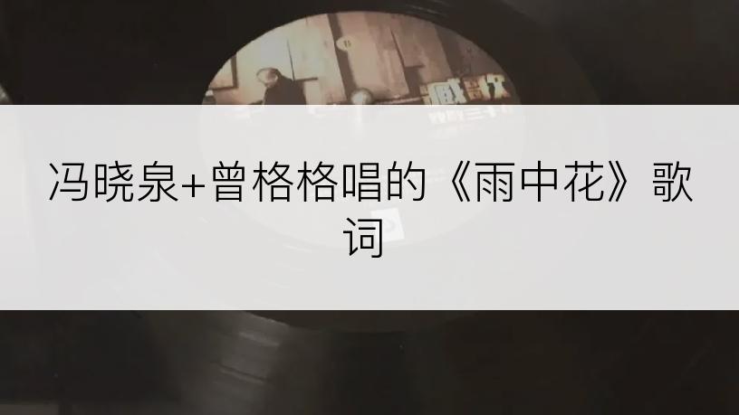 冯晓泉+曾格格唱的《雨中花》歌词